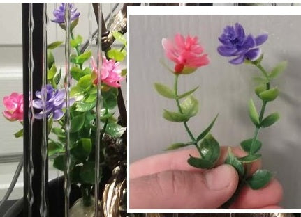 Purple and Pink Flowers